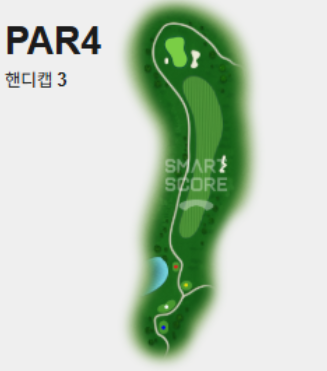 밸리코스 3번홀